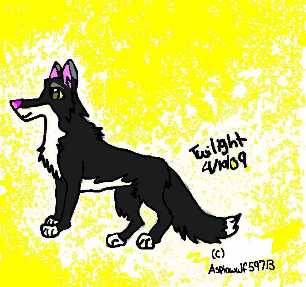 The new and (hopefully) Improved Twilight