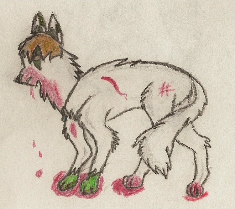 ~*Gift for Shayde*~