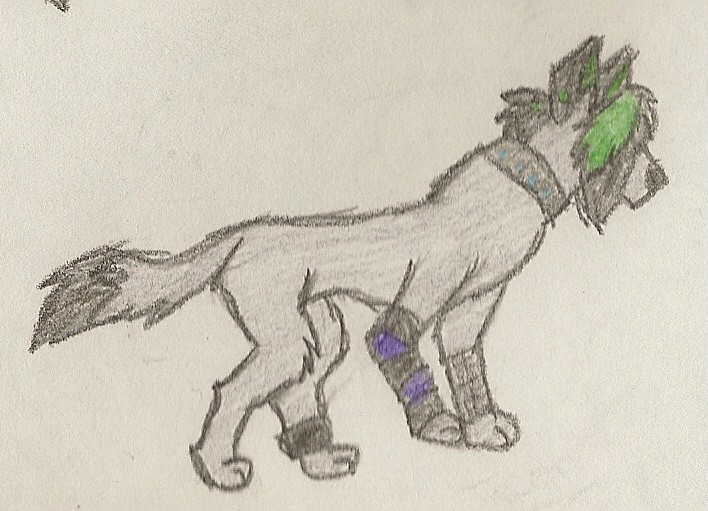 ~*Gift for Shayne*~