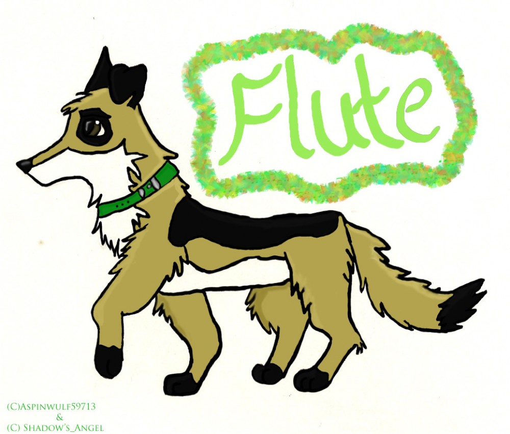 *Flute*