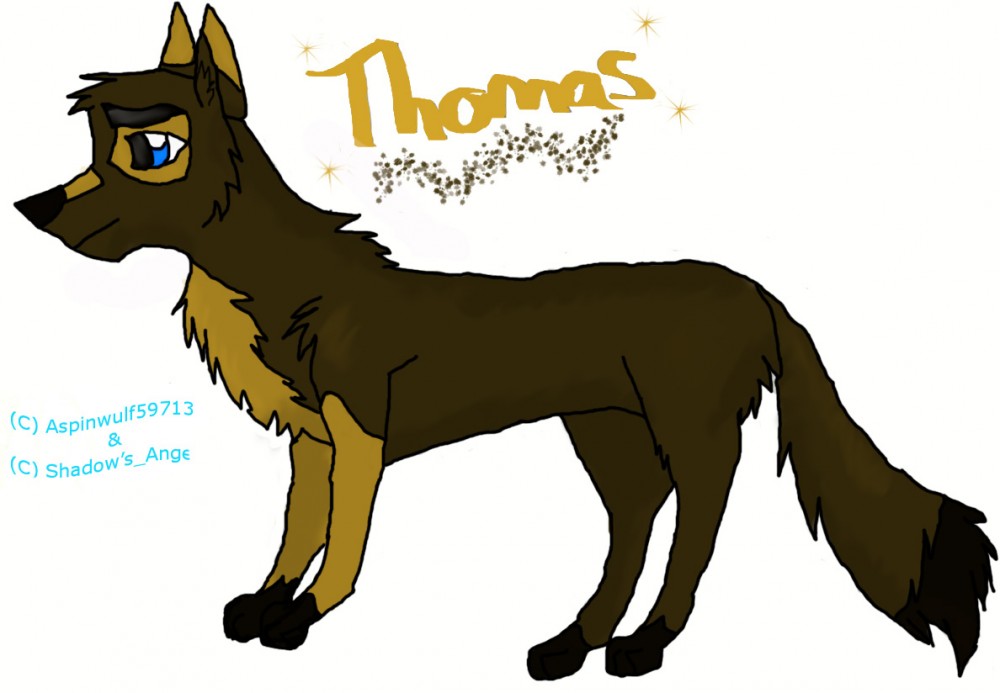 Thomas Full Body 