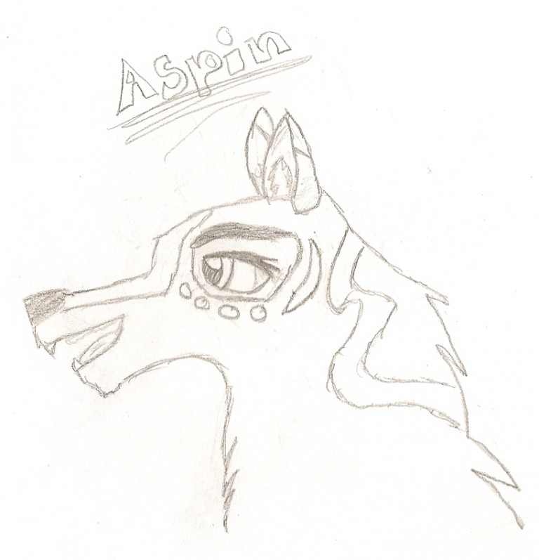 Aspin