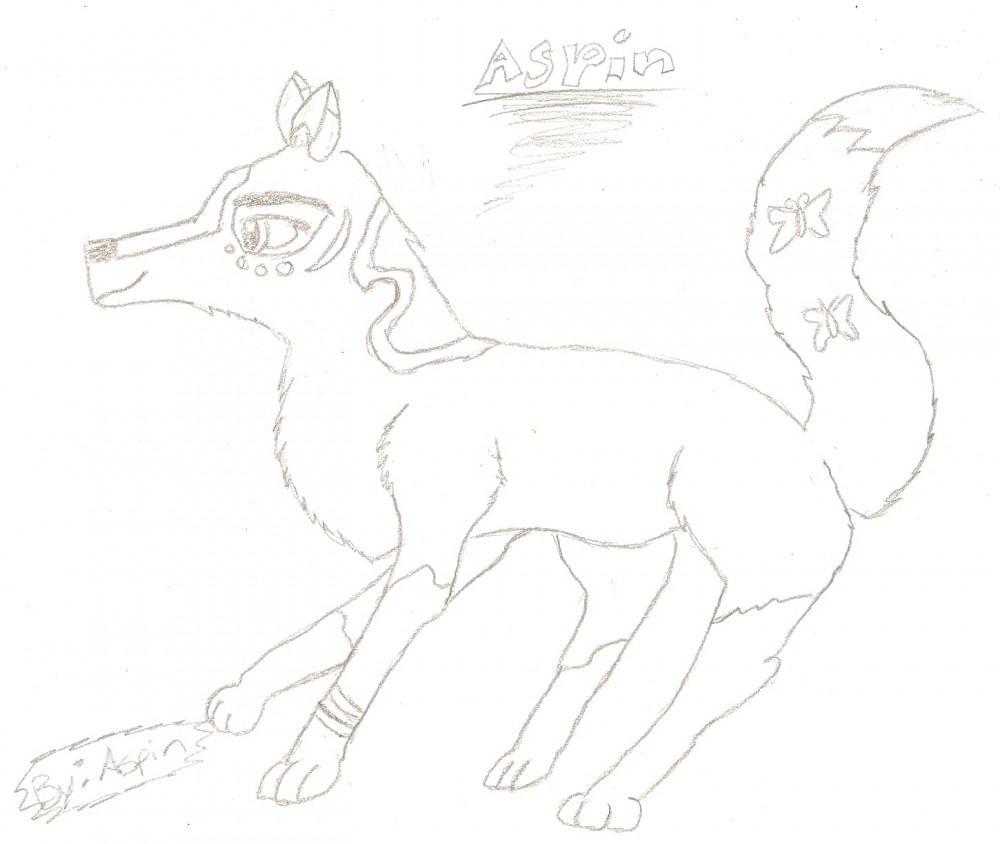 Aspin (full view)