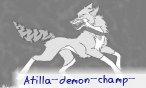 Apollo-pony(tilly)
