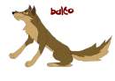 its balto