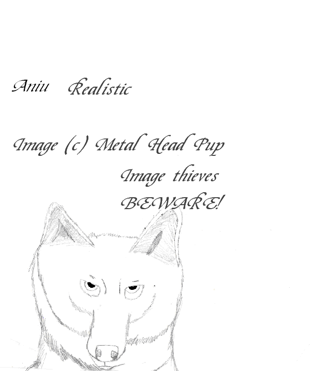 Realistic Balto