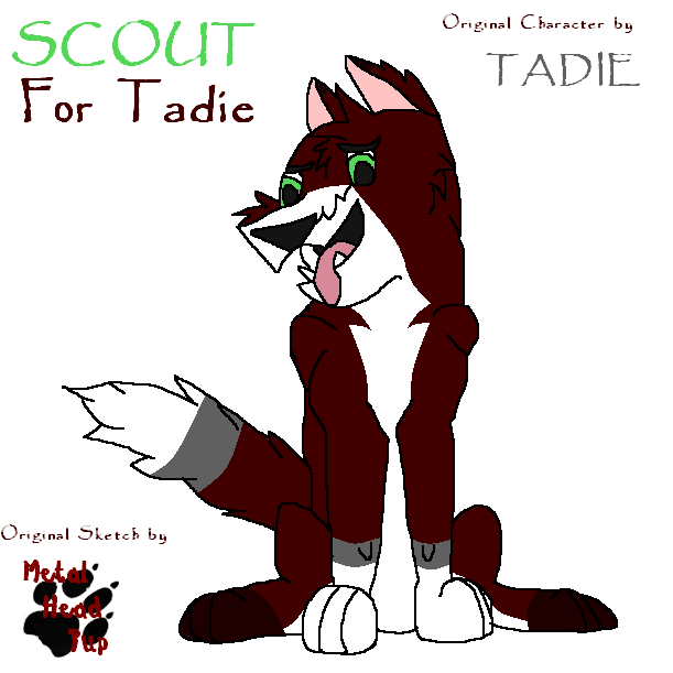 Scout for Tadie