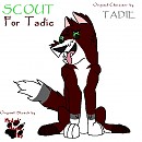 Scout for Tadie