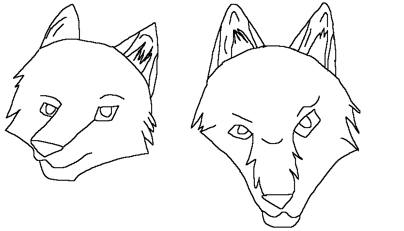 Wolf Practice: Heads