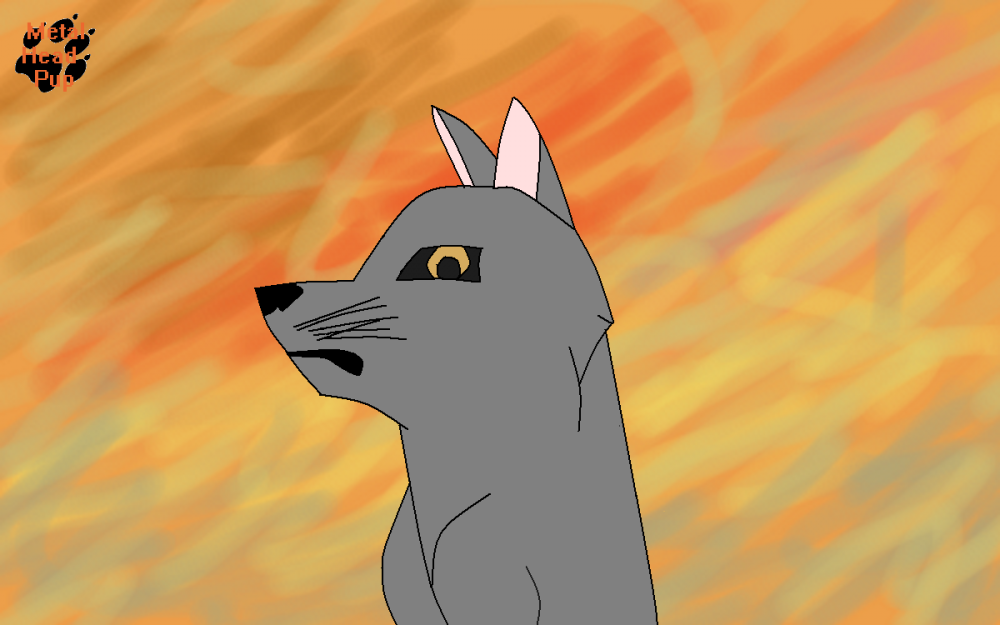 *New Style!* Wolf Cub Fall