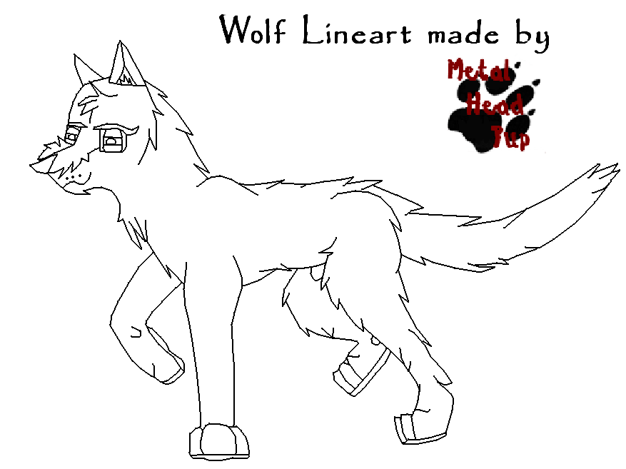 Wolf Sketch Lineart