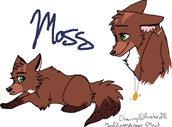 Request for Moss XD