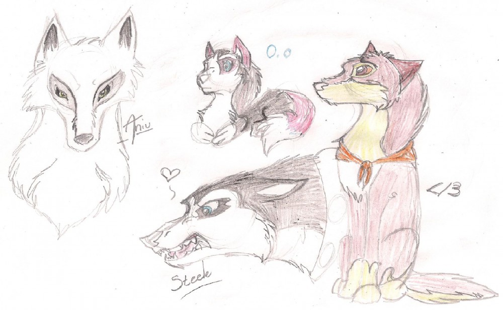 Balto Doodle-Poop.