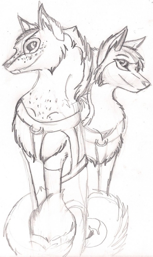 Vixen & Dallas.