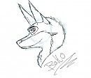 baltooo