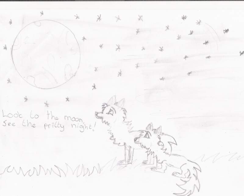 2 wolven