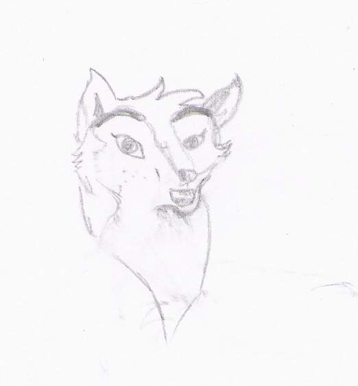 wolfs had
