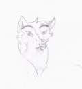 wolfs had