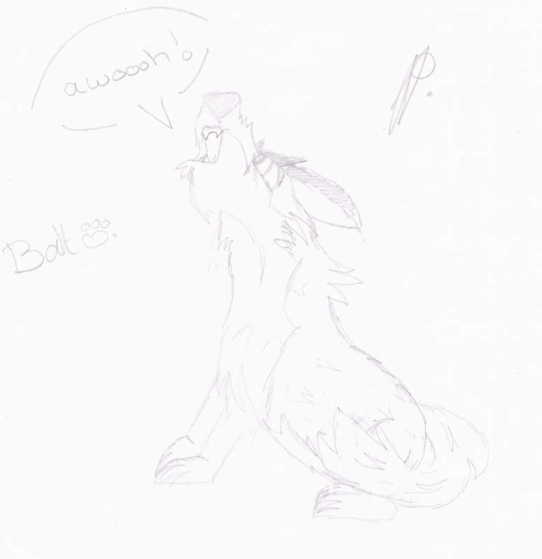 baltoo