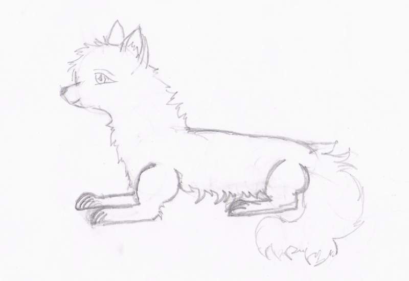 A wolf 