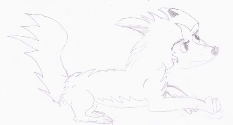 A wolf 