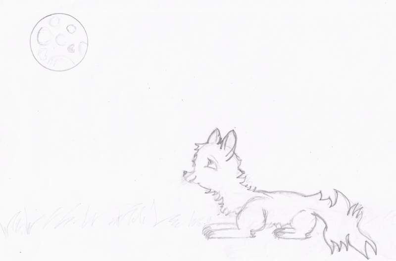 looking to the moon