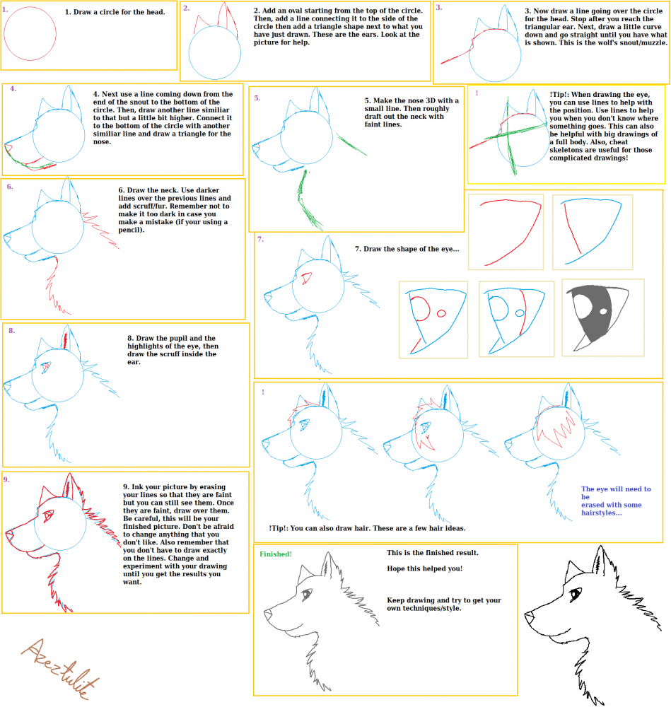 Wolf Profile View Tutorial- READ DESCRIPTION