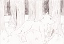 Wolf in a forest