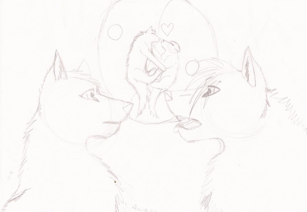 Wolves Love