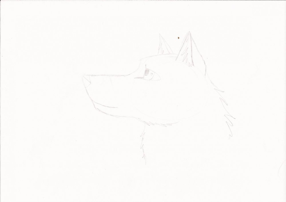 Quick Draw Cute Wolf