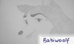 Babiwoolf