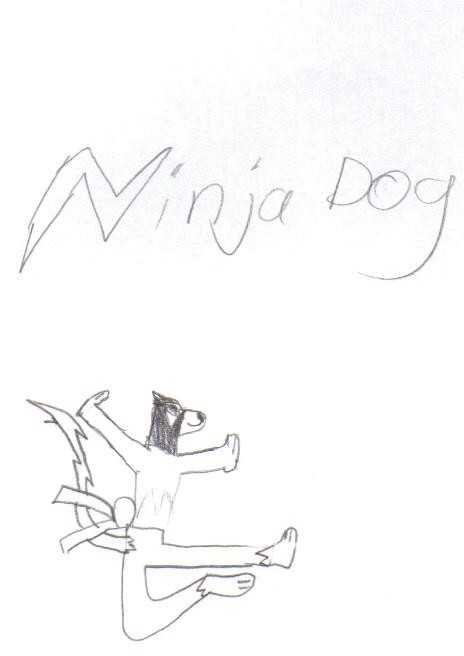 ninja