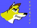 Everest-Gifty avatar for Lunawolf383