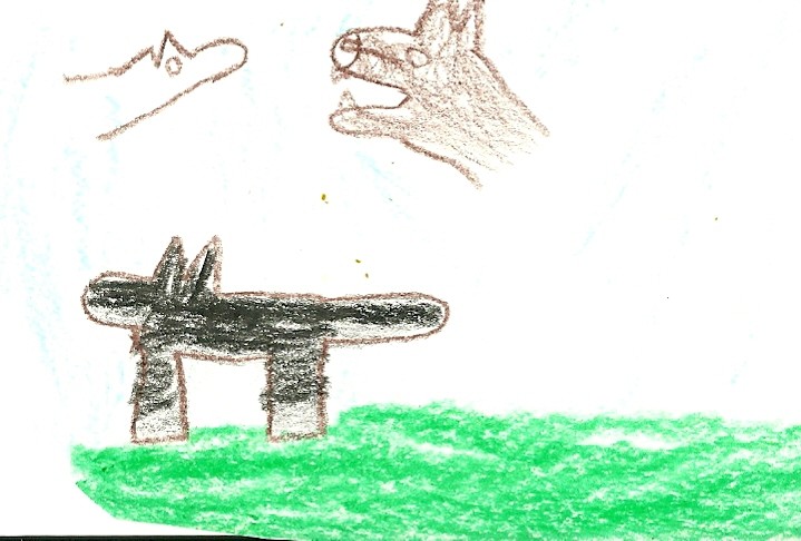 Balto Doodle