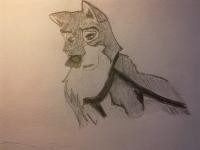 Balto as sled dog