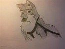 Balto as sled dog