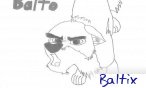 baltix