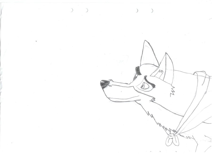 Balto & Bandanna
