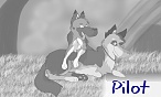 Pilot