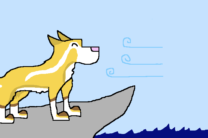 FREEdom X3
