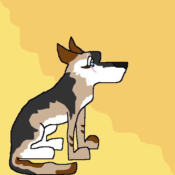 Garret for Saske :3
