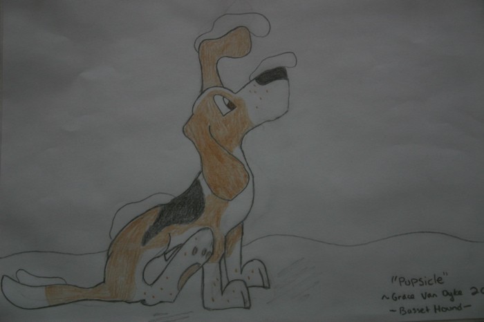 Basset in the Snow