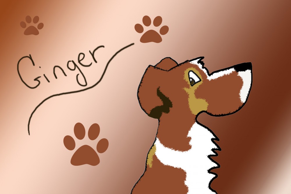 My Friend's Doggie Ginger :3