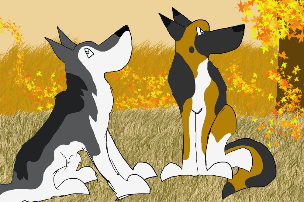 Yes, the finished  version of the other sketch :D