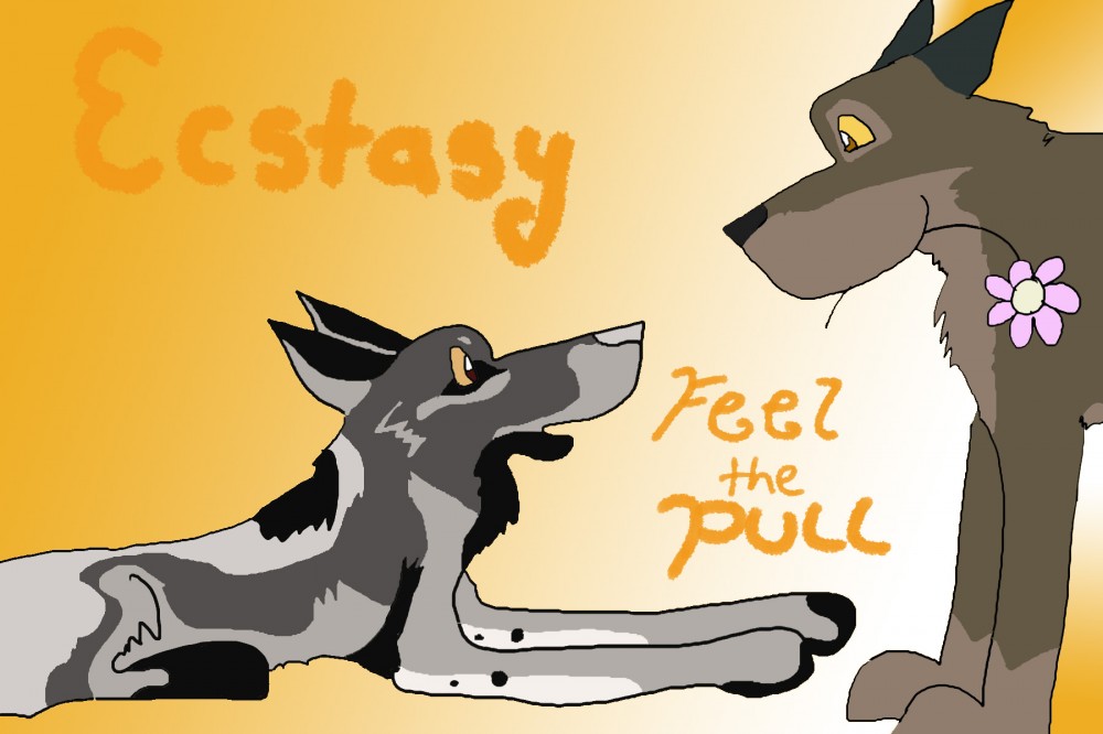 Balto and Raven