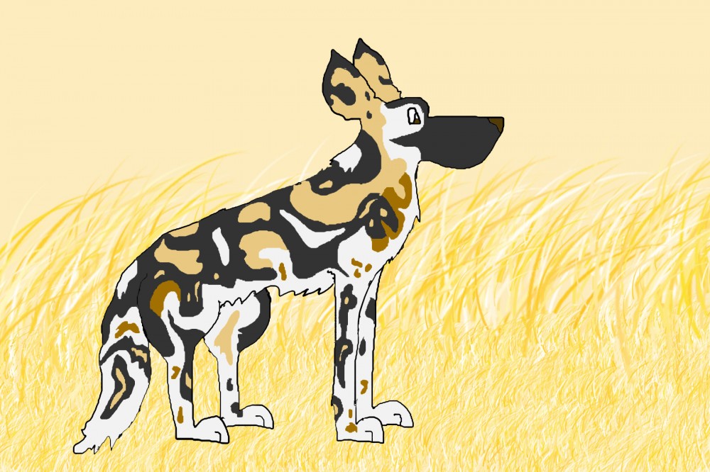 New AWD Charrie 8D