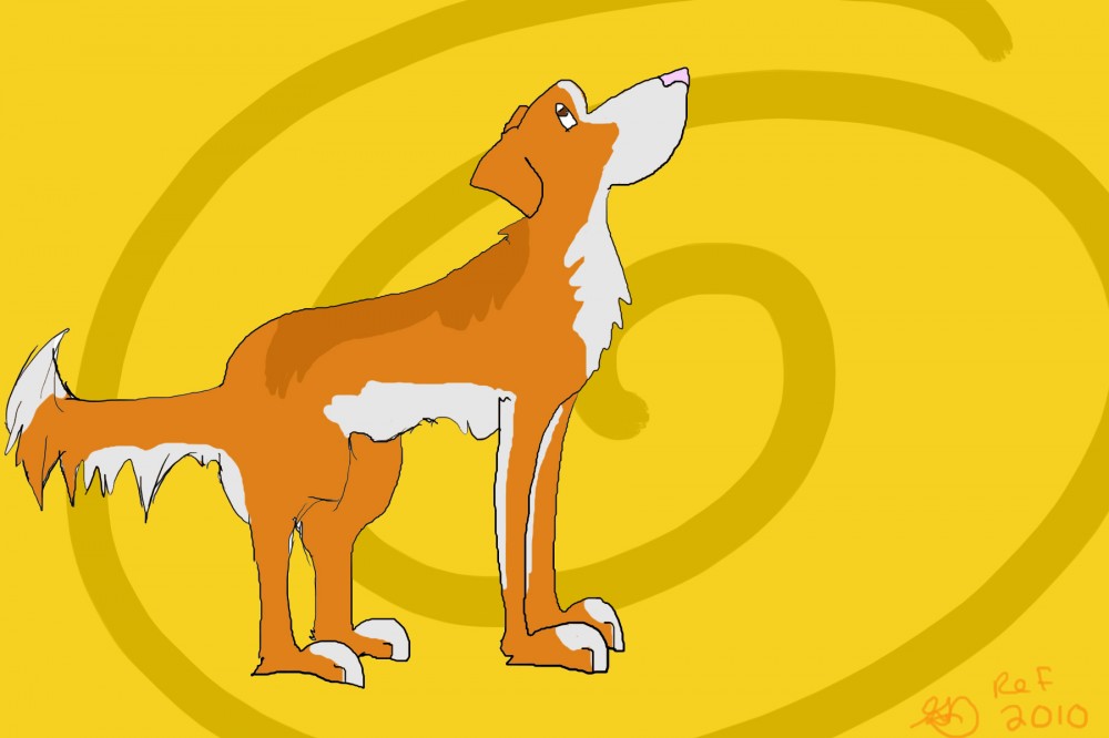 New NSDTR Character