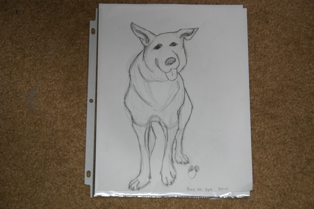First Attempt at a Realistic Dog 8D