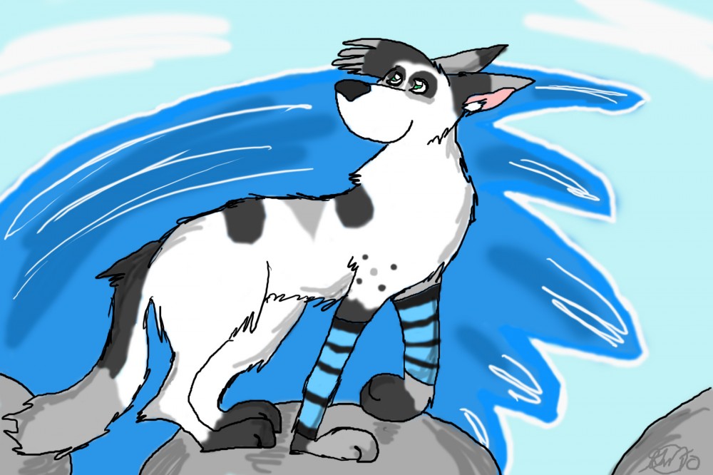 I'm a Rock Hopper!