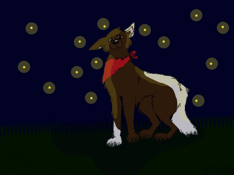 Dash < 3